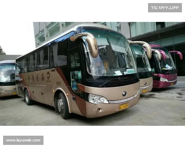 小型旅游包车占比近25%，“高铁+租车”模式普及