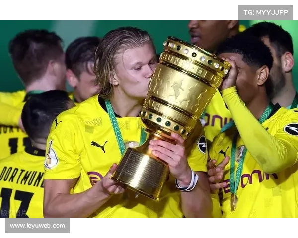 老将穆泰关键分处理不当导致法国队戴维斯杯出局